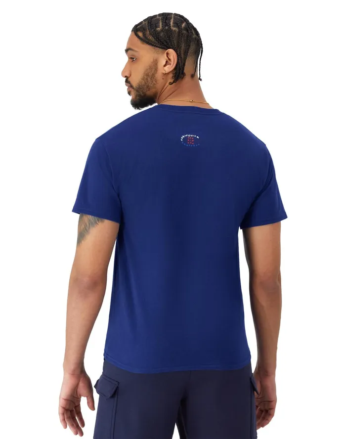 Classic Graphic TShirt Stars Flag Jewel Sapphire Men Champion TShirts and Tops