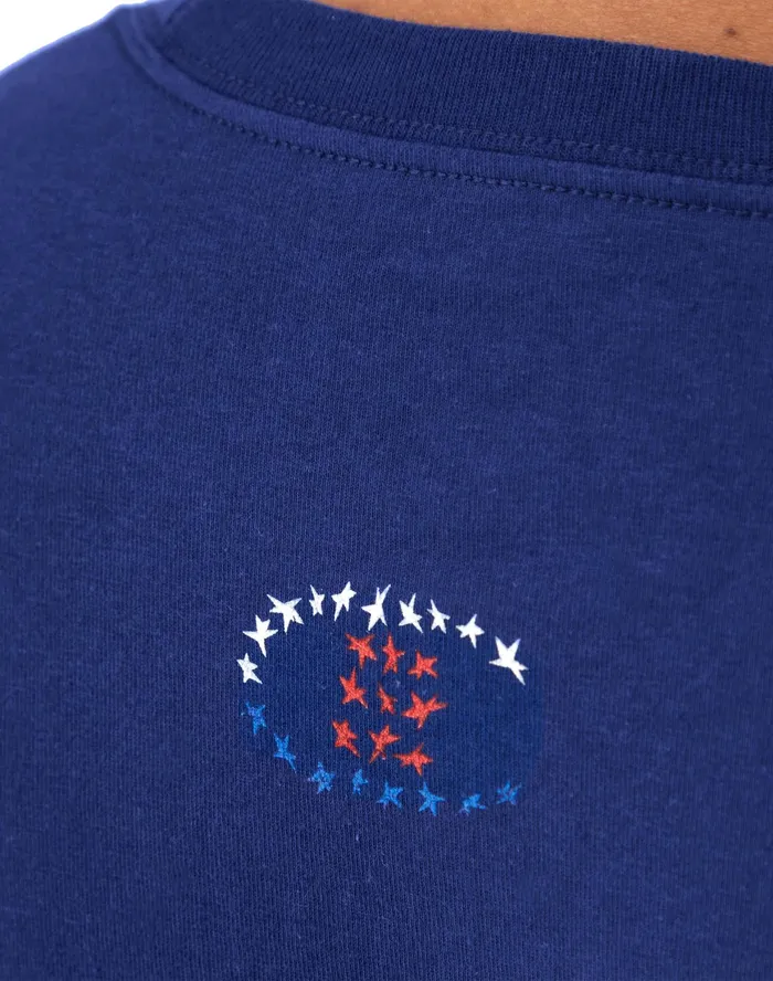 Classic Graphic TShirt Stars Flag Jewel Sapphire Men Champion TShirts and Tops