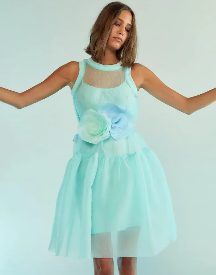 Dresses Women Cynthia Rowley Chloe Organza Dress