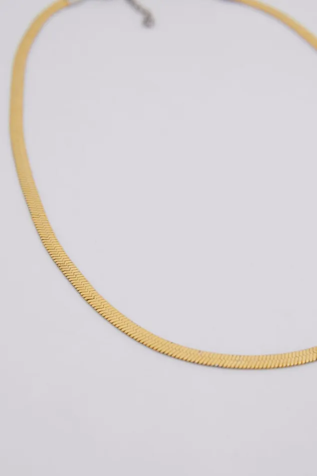 Francesa Snakechain Necklace In Gold Women Showpo Necklaces