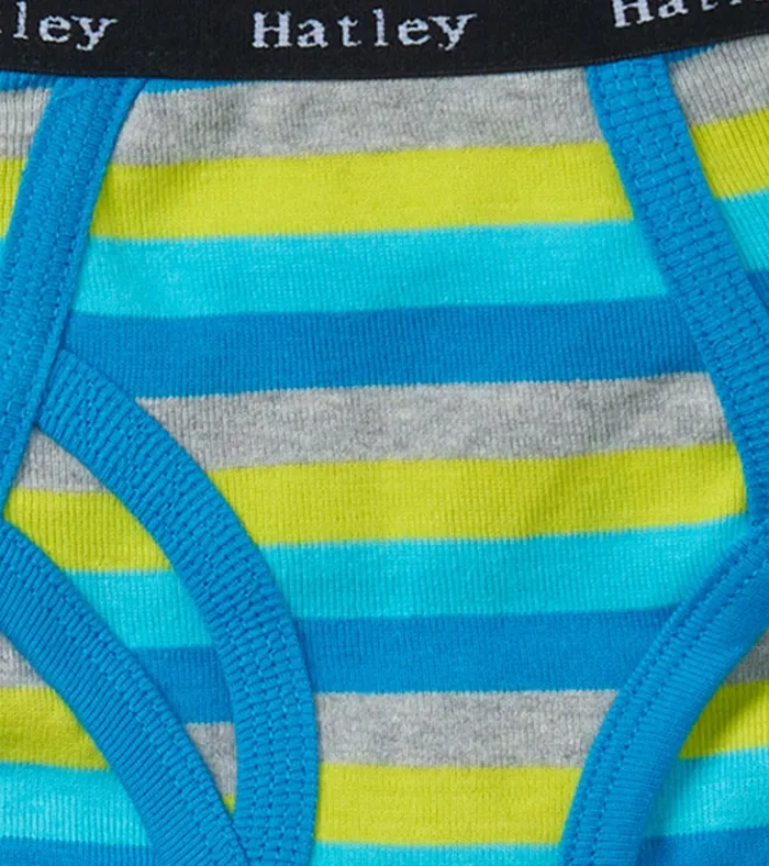 Hatley Boys Stripes 3 Pack Classic Briefs Boys Underwear