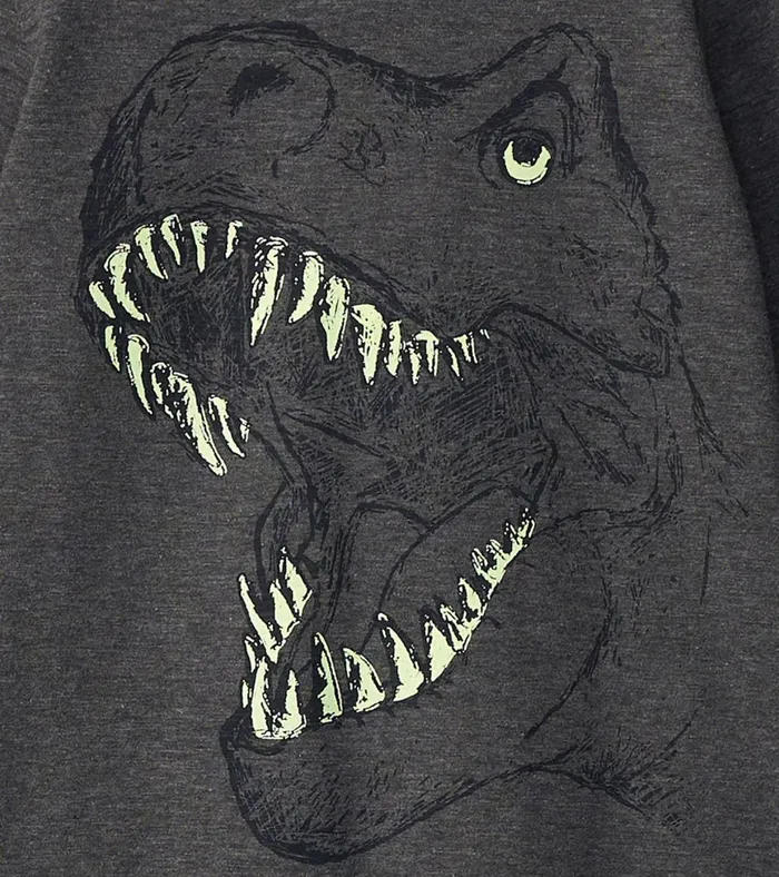 Hatley Boys TRex Glow In The Dark Long Sleeve TShirt Boys Tops
