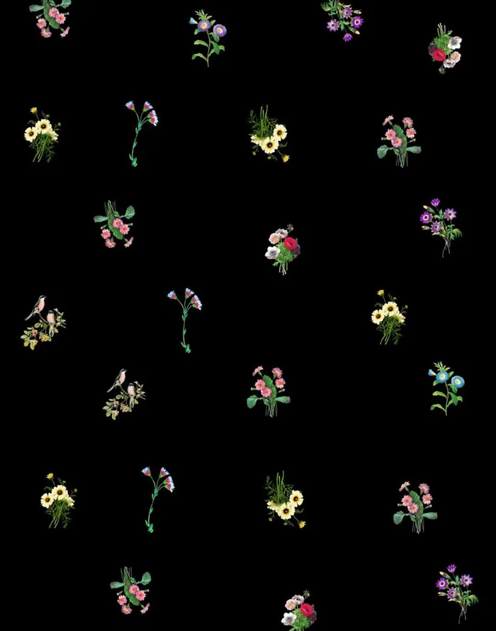 Home Women Cynthia Rowley This Buds For You Wallpaper