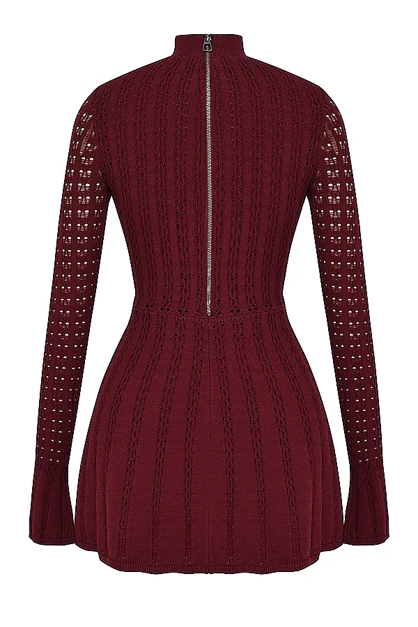 House Of CB EvalinaWine Knit Corset Dress 8211 SALE Wine Women Corset Dresses