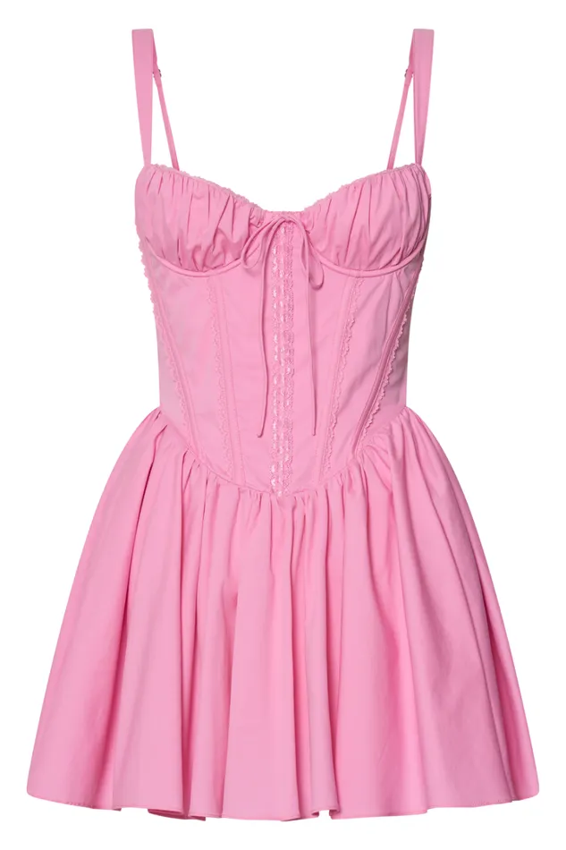 Jenna Mini Dress 8211 Corset Lace Trim Flared Dress In Musk Pink Women Showpo Dresses