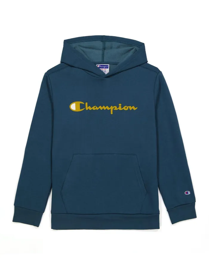 Little Kids039 Powerblend Hoodie Classic Script Metallic Teal Kids Champion Hoodies and Sweatshirts Little Kids039 Powerblend Hoodie Classic Script Metallic Teal Kids Champion Hoodies and Sweatshirts