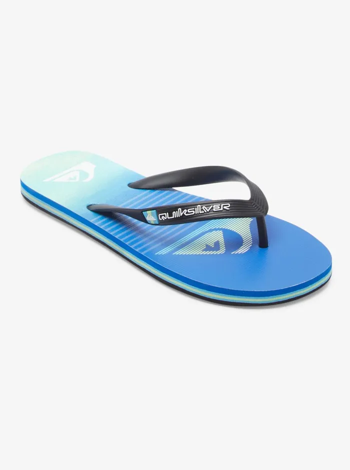 Men Quiksilver Sandals Molokai Art FlipFlops Blackgreenblue