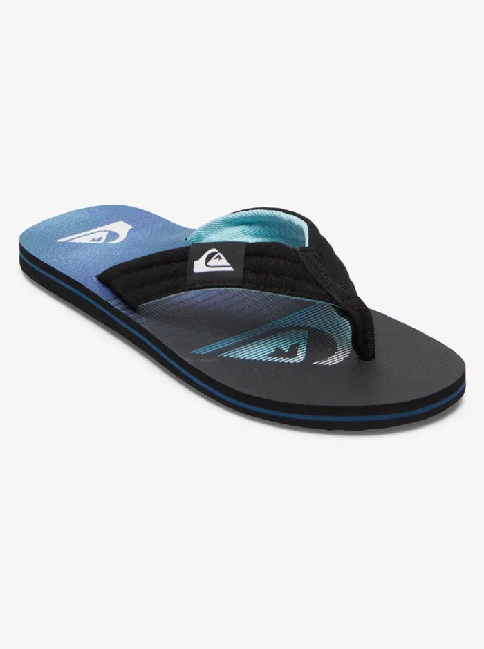 Men Quiksilver Sandals Molokai Layback Sandals For Men Blackgreenblue