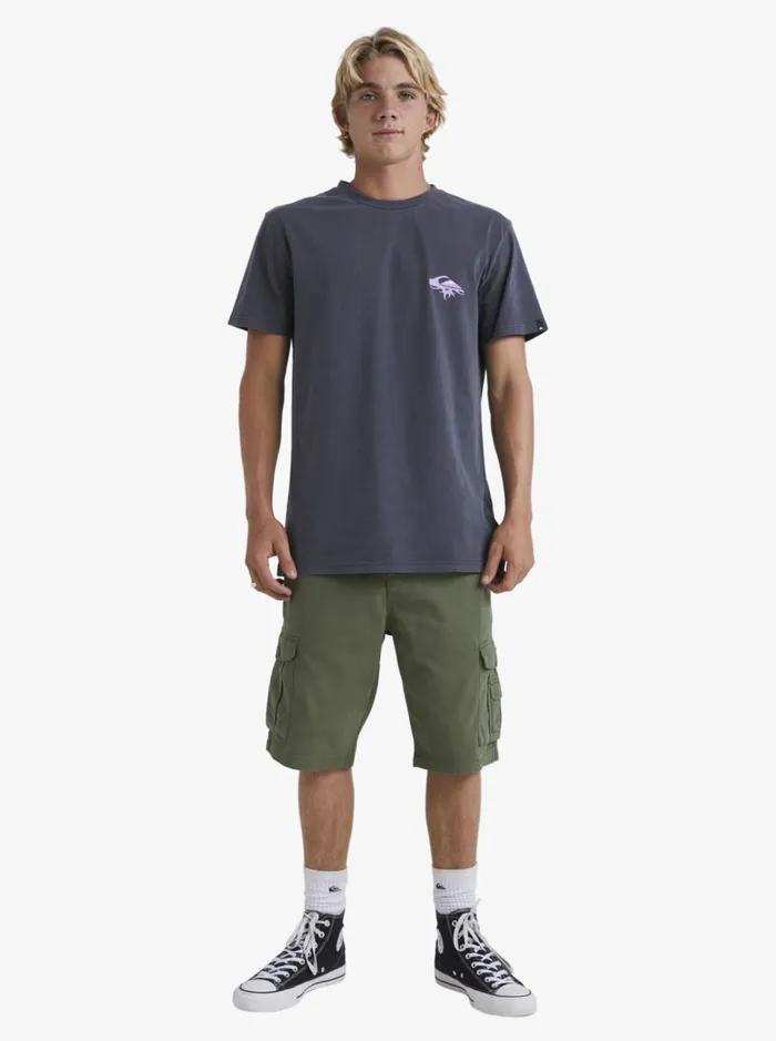 Men Quiksilver Shorts and Amphibians Crucial Battle Cargo Shorts For Men Four Leaf Clover Men Quiksilver Shorts and Amphibians Crucial Battle Cargo Shorts For Men Four Leaf Clover