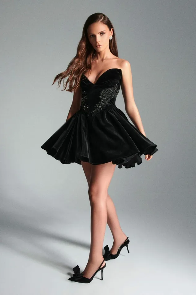 Women ALine Dresses Lavish Alice SELENA Jewelled Applique Velvet Mini Dress In Black Black