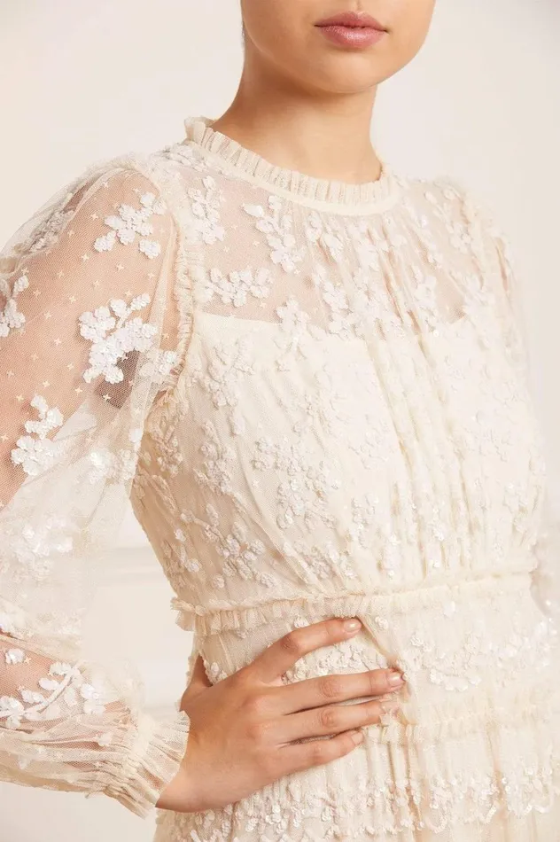 Women Embellished Dresses Needle and Thread Eve Sequin Gown Champagne