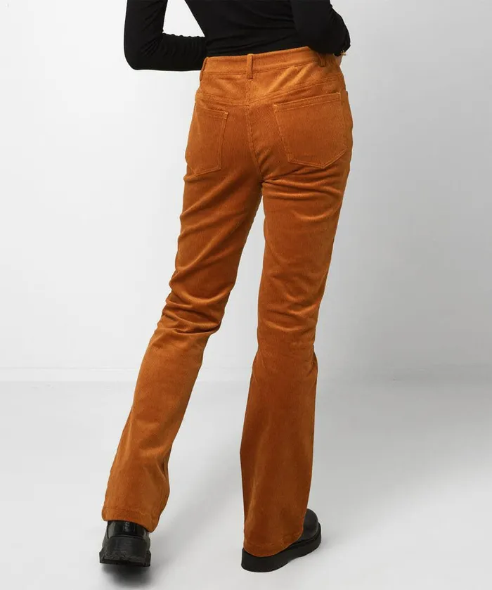 Women Joe Browns Beautiful Bootcut Cords Tantealblack Women Joe Browns Beautiful Bootcut Cords Tantealblack