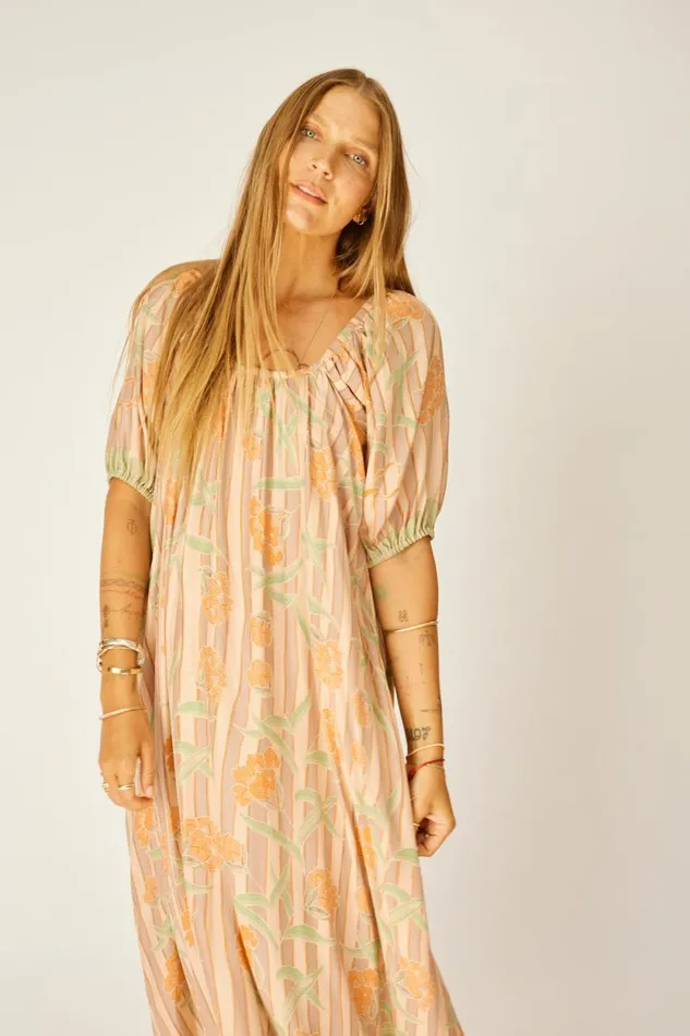 Women Natalie Martin Dresses Vivi Dress Chamomile Apricot