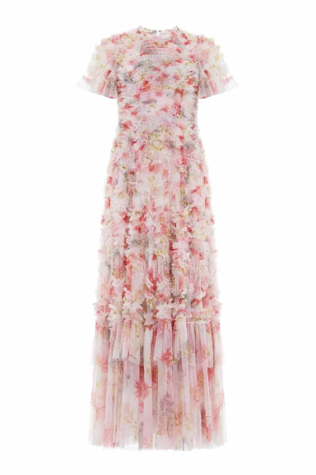 Women Printed Dresses Needle and Thread Hummingbird Verity Gown Multi